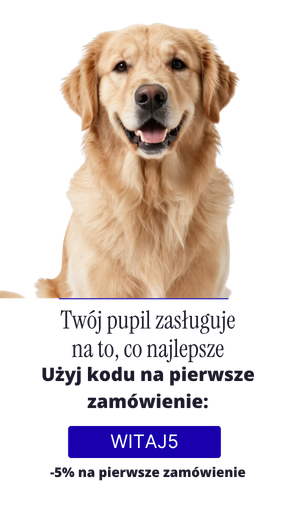 Promocyjny Kod