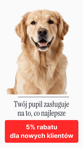 Promocyjny Kod